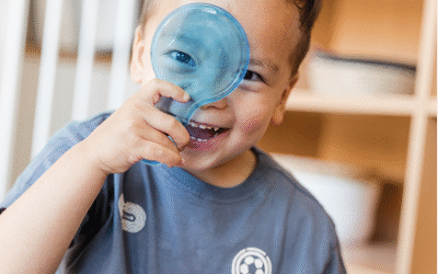 Zelfstandigheid vanaf het begin