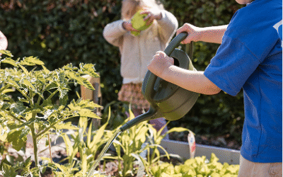 Hoe Pebbels hoogbegaafde kinderen ondersteunt